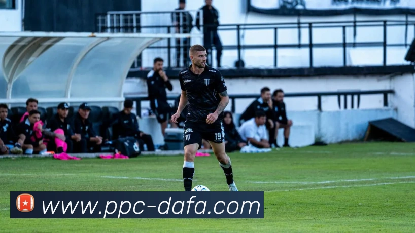 大发彩票平台生态图